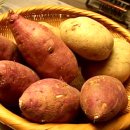 고구마짐 이미지