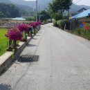 용계2리 이미지