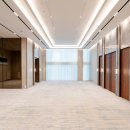 더화이트 이미지