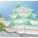 개구리집 이미지