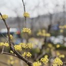 그랜드경희한의원 이미지