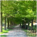 강현재 | 전남 담양 보성 가족여행 부모님과 함께하는 여름휴가
