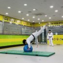 새롬동_세움빌딩앞 | [세종시/새롬동/다정동/한솔동 태권도] 용인대 아이짐 태권스쿨 체조 수업