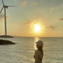 월정뷰게스트하우스코난비치대여점 | 제주도 코난비치 스노쿨링 장비대여 (월정뷰게스트하우스 코난비치스노쿨링대여점) 후기 및 꿀팁