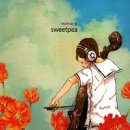 스위트피(sweetpea) 이미지