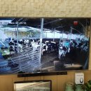 풍산목장 이미지