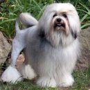 스카이동물병원 이미지