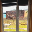 당나귀호스텔 이미지