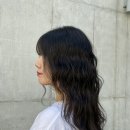 평택 미용실 젤리펌 대만족 후기 :: 에프엑스헤어샵 지제센트럴점