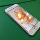 스마일오일뱅크 이미지