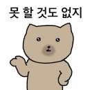 홍진마트 | 26 어게인 칭다오 2