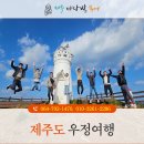 마당발 투어