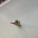 유나이티드 다온태권도장 이미지