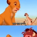 하쿠나 마타타 이미지