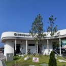 4928 | 안목해변 안목여행자센터 짐보관 이용 후기(뚜벅이 왕추천)