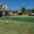 강화 덕수궁펜션 이미지