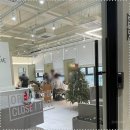 제안헤어 | 송도헤어숍, 내 개성을 살리는 디자인 제안! 포레브헤어 후기