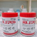 금성당약국 이미지