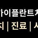 스카이치과기공소 네이버블로그