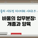 [말씀의 강] '바울의 사도적 자기 이해 ' 시리즈 5 - 바울의 업무 분장(Job Description) : 개종과 양육 이미지