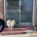 탕화쿵푸마라탕 동해천곡점 이미지