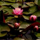 노량진역 이미지