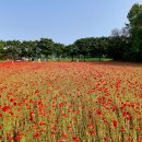 미사경정공원 이미지