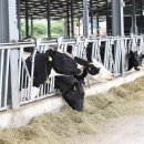 영남축산 이미지