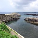 토산부부