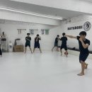 종합격투기하야로비