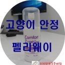 운정한빛동물병원 이미지