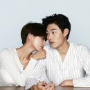 씨제스엔터테인먼트 카카오 검색결과