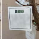 서지섭치과의원 | 울산치과잘하는곳, 정답은 없지만 '기준'은 있습니다 <현직 의사 작성>