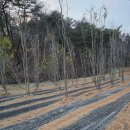 수곡농장 이미지