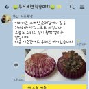 꽃가리비