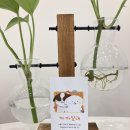 까까달래 이미지