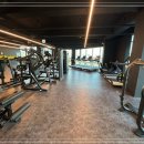 드래곤 H 짐 이미지