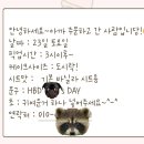 슈슈베이킹