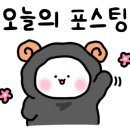 더이프헤어