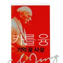자명정신병원 | [ 카를 융 기억 꿈 사상 ] 후기
