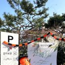 글라스 아이 유 | [멜팅유 플리마켓]구미 금리단길에서 핫한 기부하는 마켓 2025 가을 산책길마켓 참여 후기 할로윈마켓