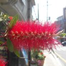 괴정초등학교 이미지