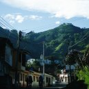 남미농장 이미지