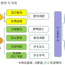 고혈압의 원인과 치료 이미지