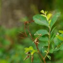 예울림물레방아마을 이미지