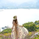 지세포로 이미지