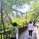 다이어트 뷰 | 부산다이어트 부산단식원 추천 오션뷰 다이어트캠프 정화나무다이어트라운지 솔직후기