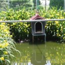 원앙농장 이미지