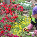 정성스레 이미지