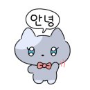 예뻐질고양 이미지